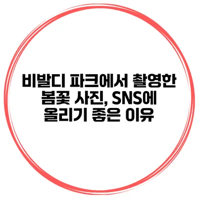 비발디 파크에서 촬영한 봄꽃 사진, SNS에 올리기 좋은 이유
