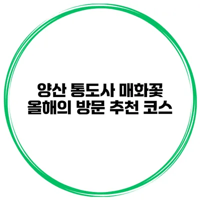 양산 통도사 매화꽃 올해의 방문 추천 코스