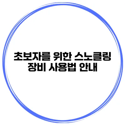 초보자를 위한 스노클링 장비 사용법 안내